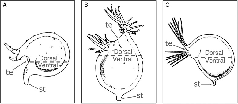 Figure 2.