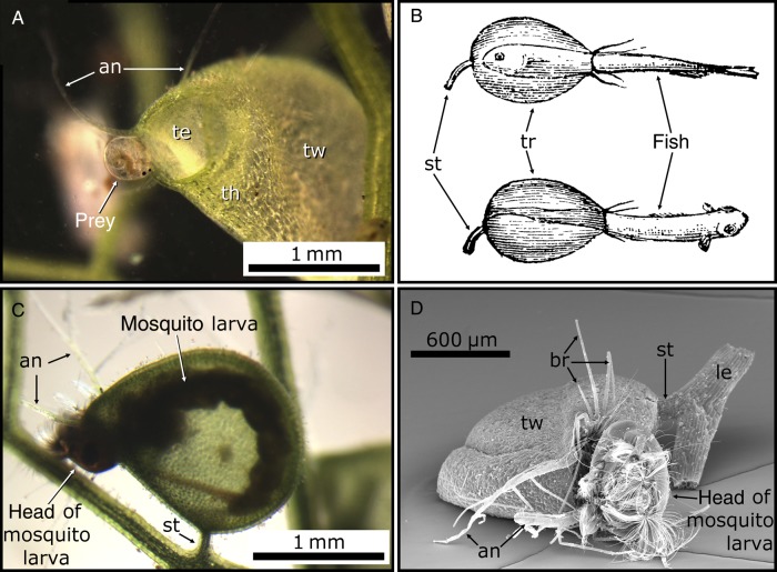 Figure 3.