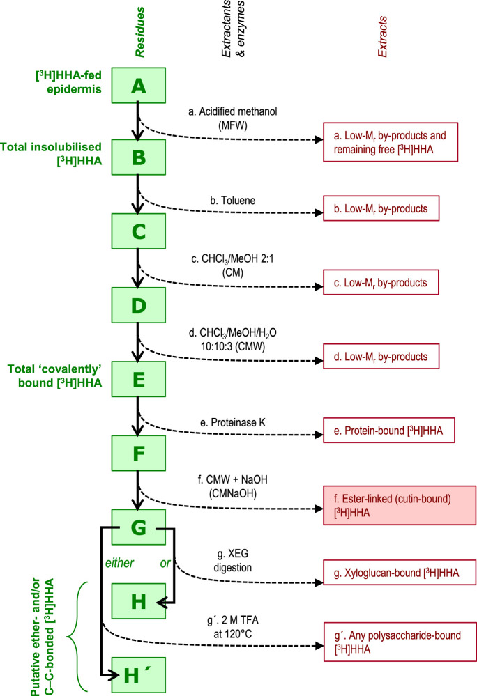 Figure 2.