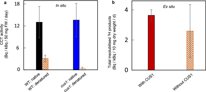 Figure 6.