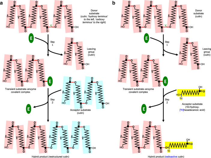 Figure 1.