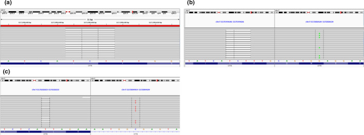 FIGURE 2