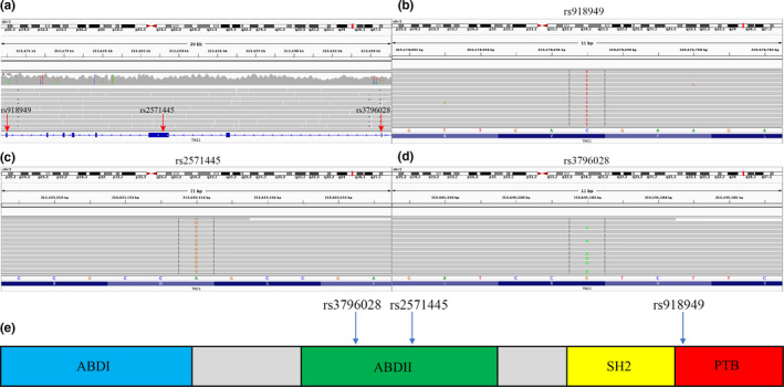 FIGURE 4