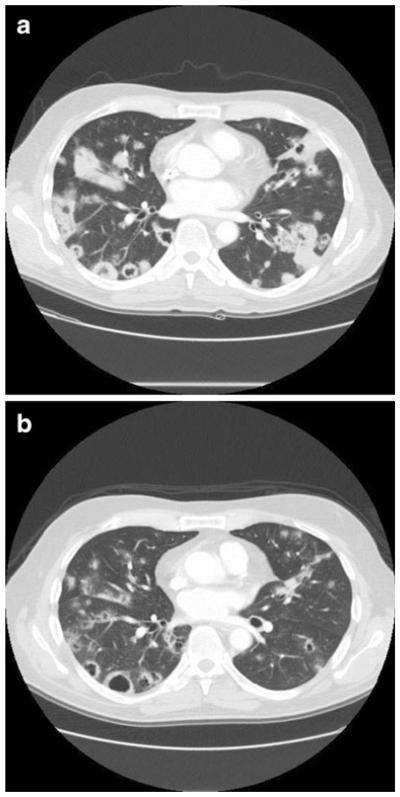 Fig. 5