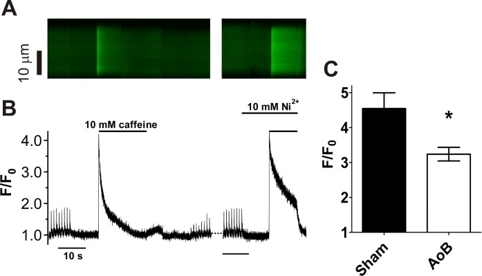 Fig 6