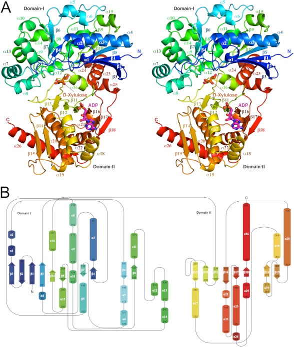 FIGURE 1.