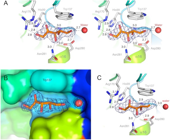 FIGURE 4.