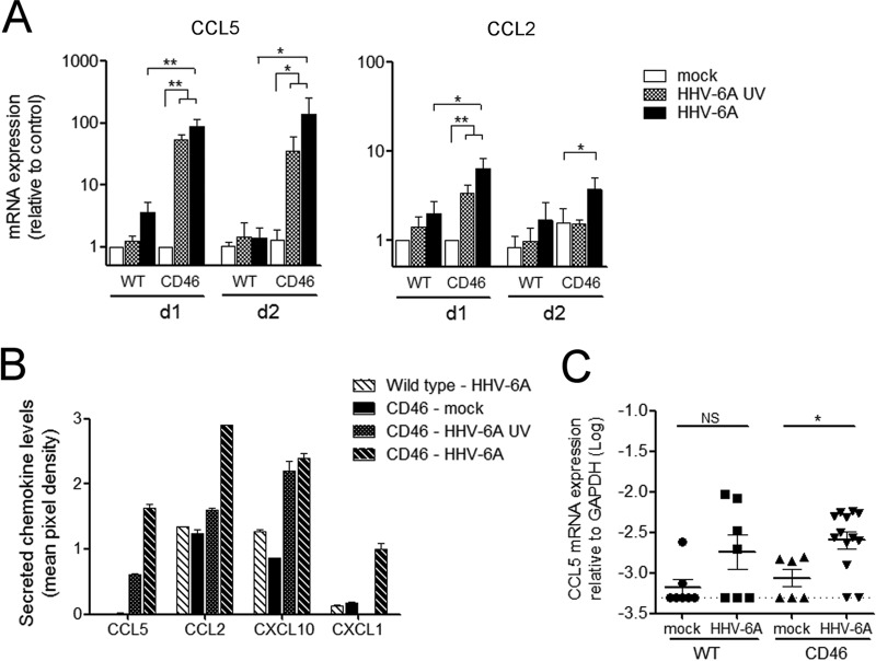 FIG 6