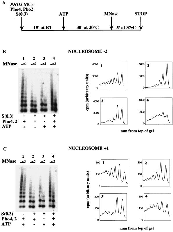 FIG. 6