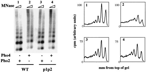 FIG. 8