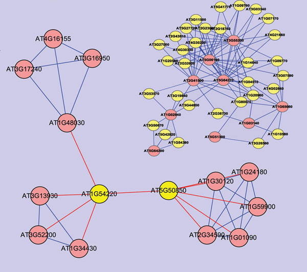 Figure 4 