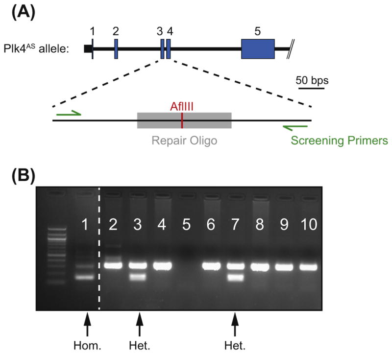 FIGURE 3