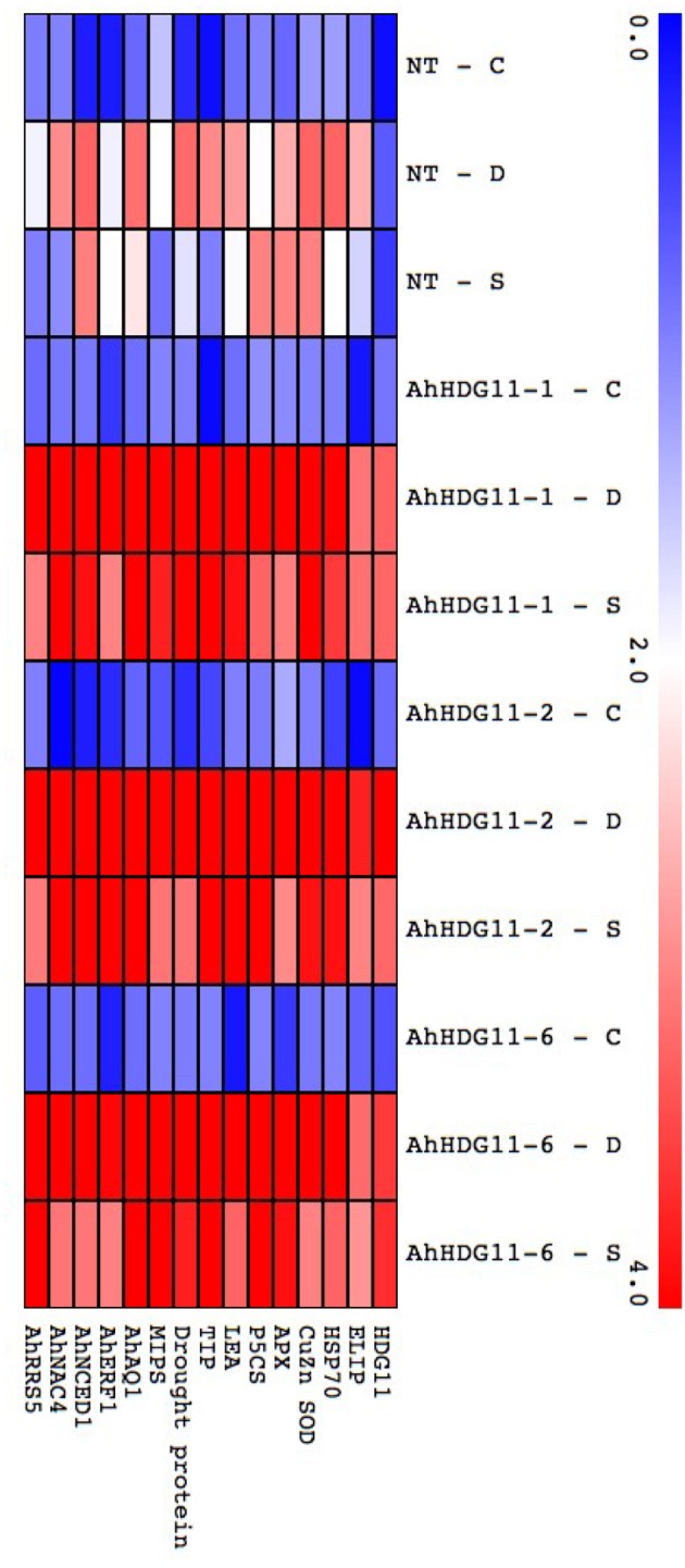 Figure 10