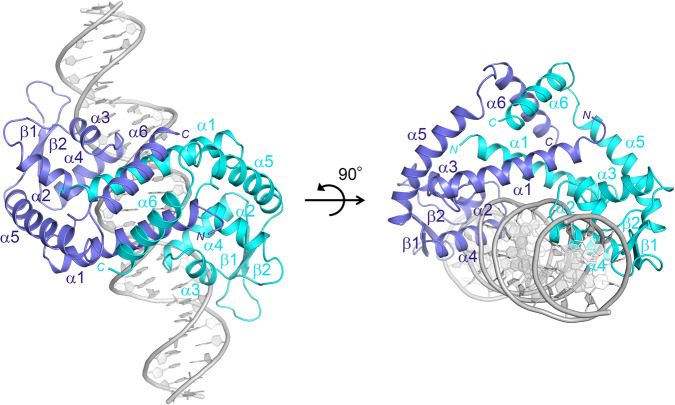 Fig. 2