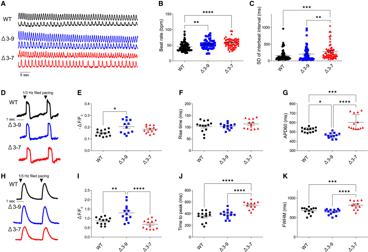 Figure 4