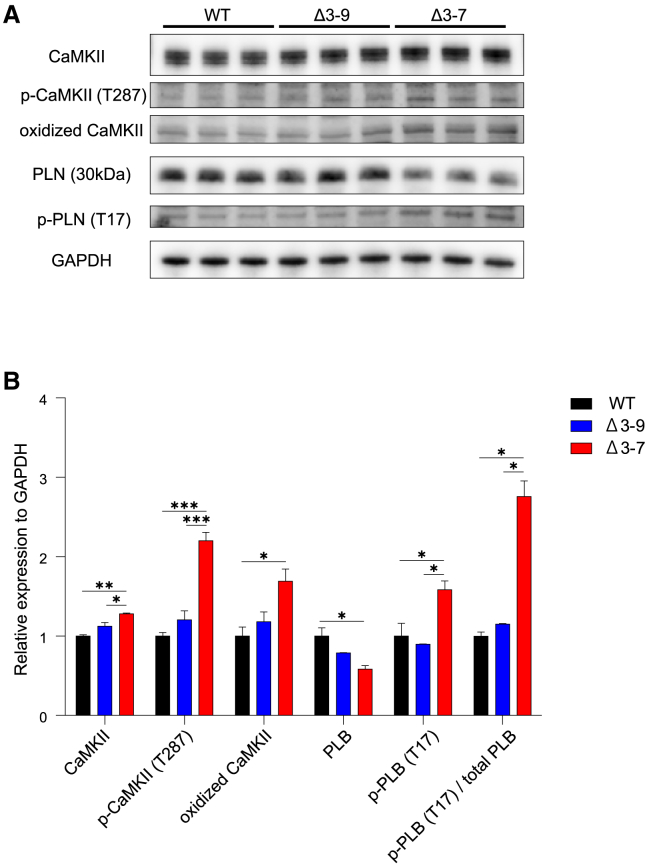 Figure 3