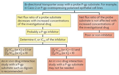 Box 3 | Decision trees for P-glycoprotein or BCRP inhibitor interactions