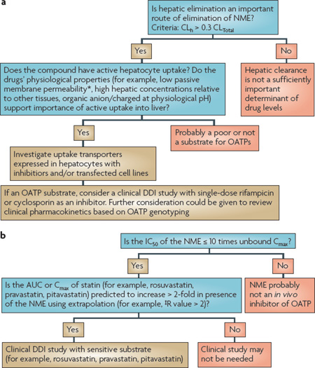 Box 6 | Decision trees for OATP interactions