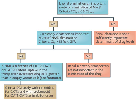 Box 4 | Decision trees for OCT or OAT substrate interactions