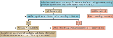 Box 2 | Decision trees for P-lycoprotein or BCRP substrate interactions