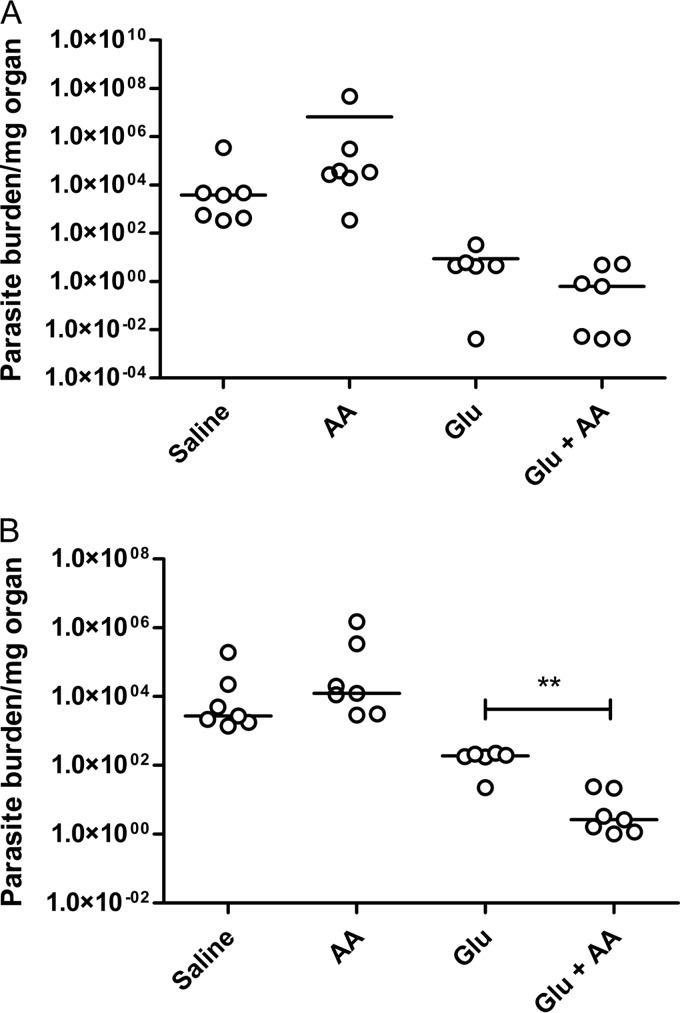 FIG 5