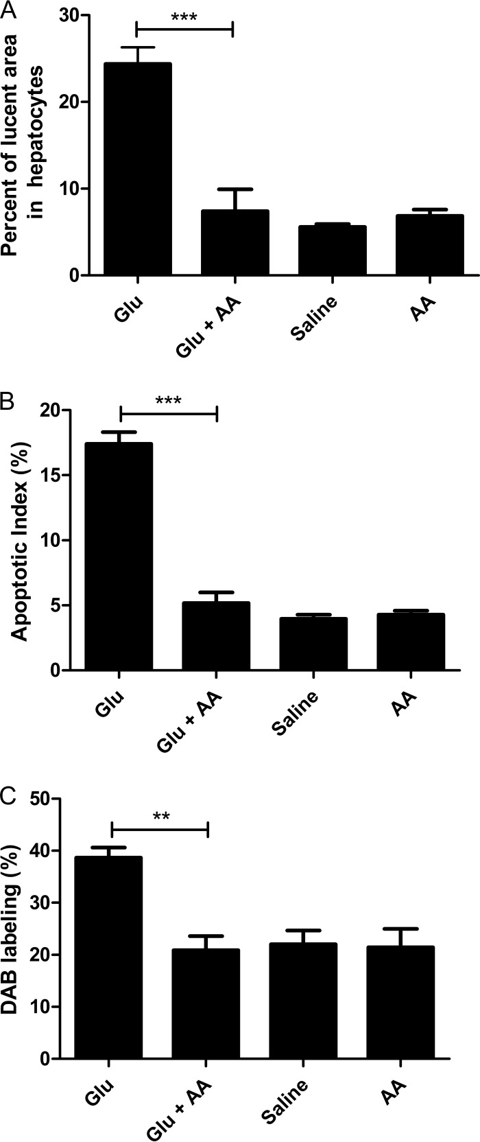 FIG 4