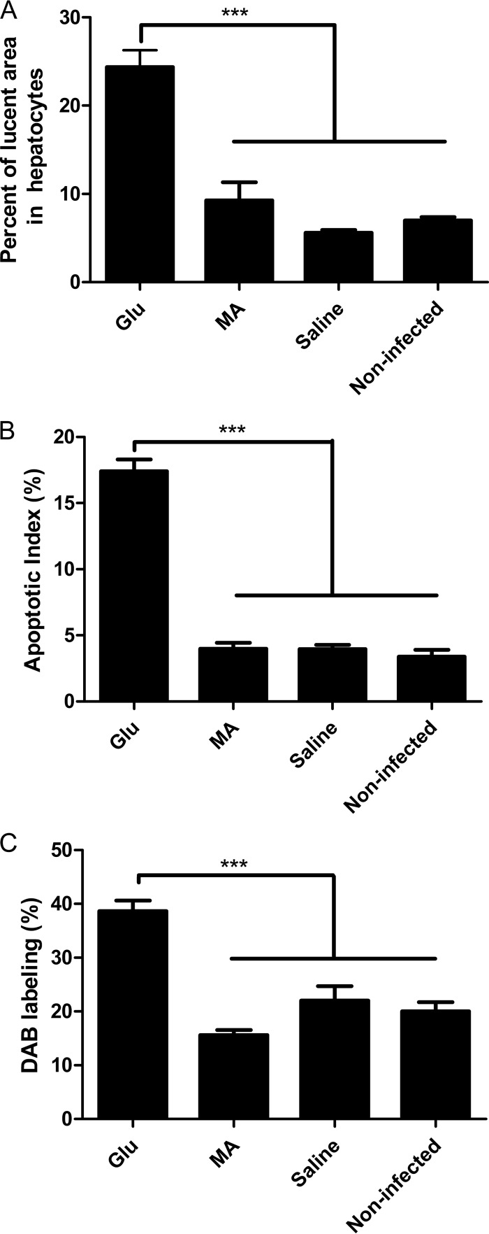 FIG 3