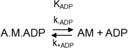 SCHEME 2.