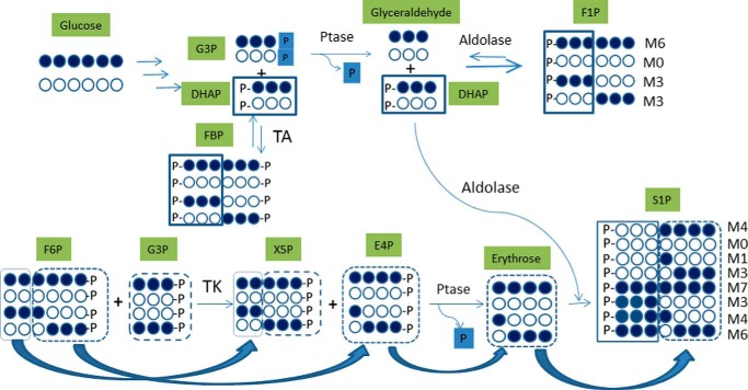 FIGURE 7.