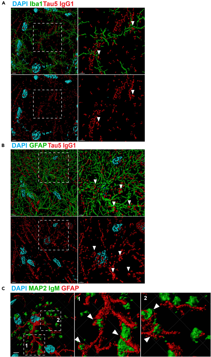 Figure 6