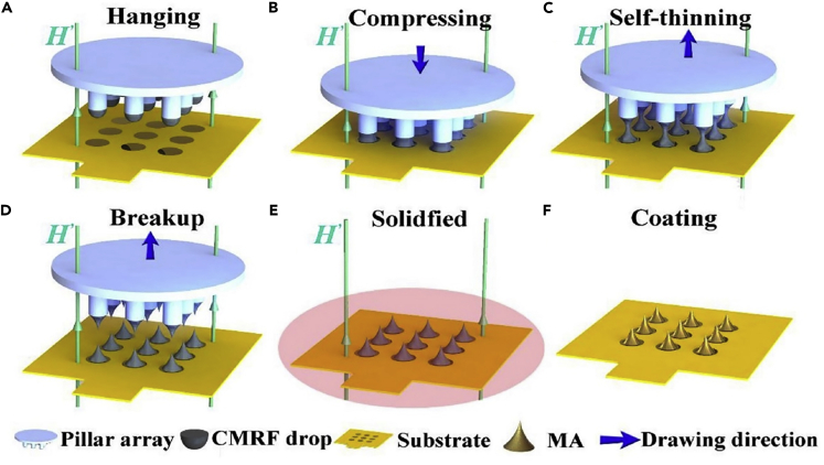 Figure 6