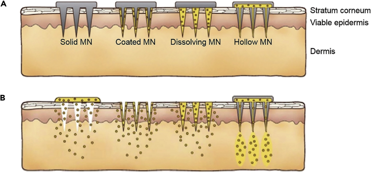 Figure 2