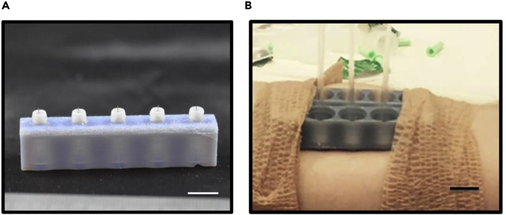 Figure 10