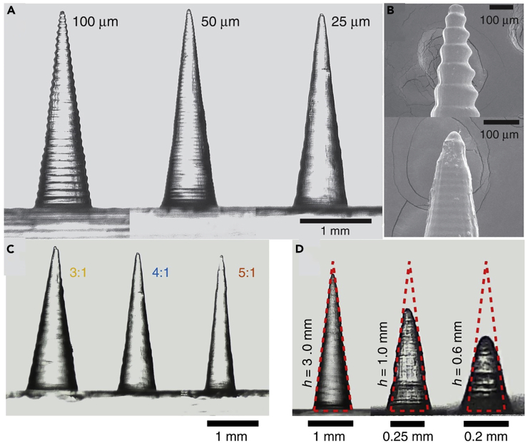 Figure 4