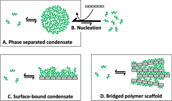 FIGURE 1: