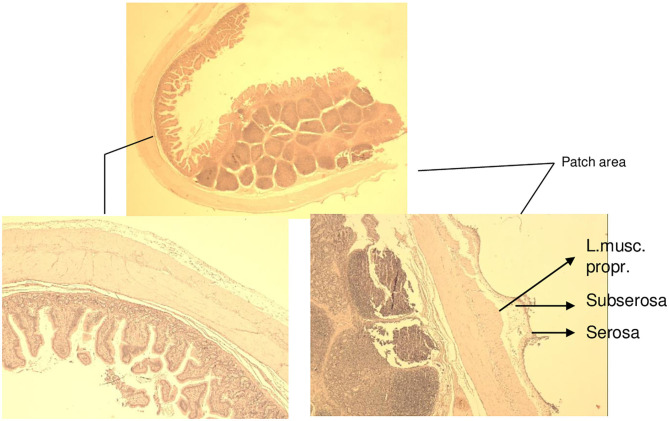 Figure 10