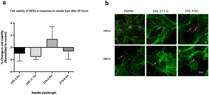 Figure 3: