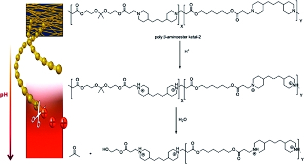 Scheme 3