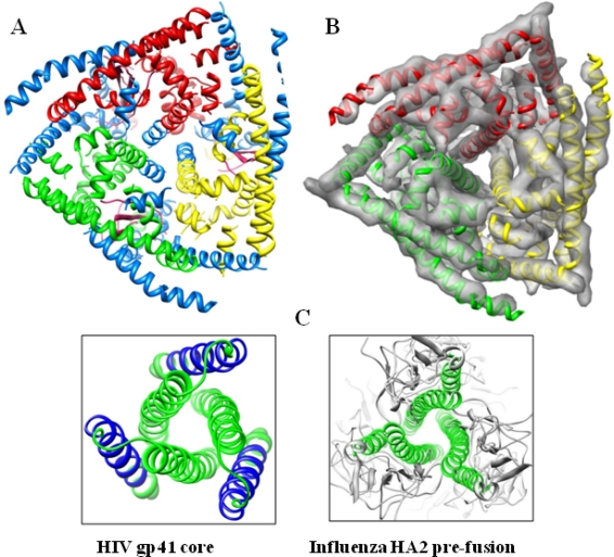 Figure 4.