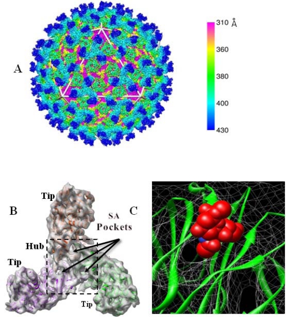 Figure 2.