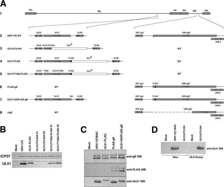 FIG 1