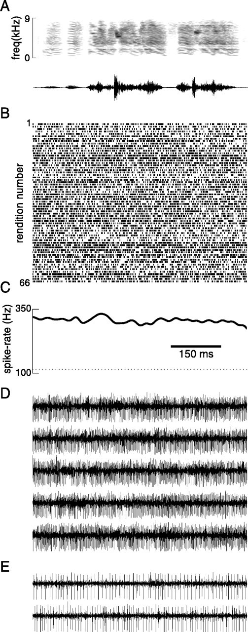 Fig. 14.