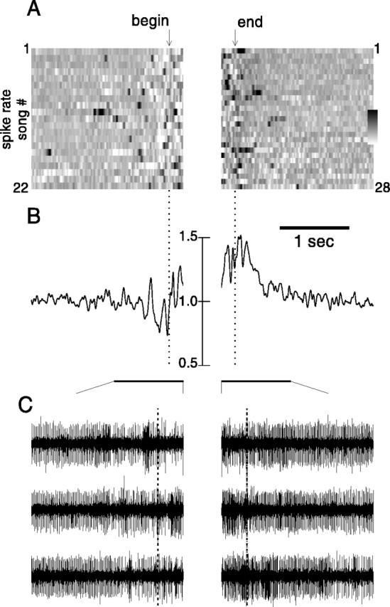 Fig. 13.