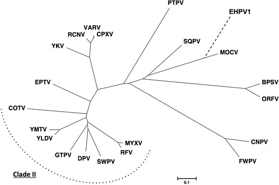 Fig. 1