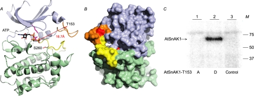 FIGURE 7.