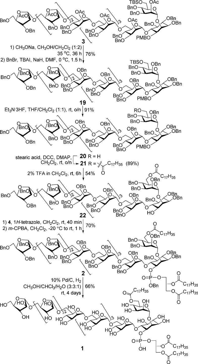 Scheme 5