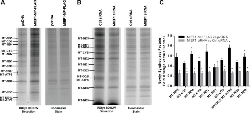 Figure 5.