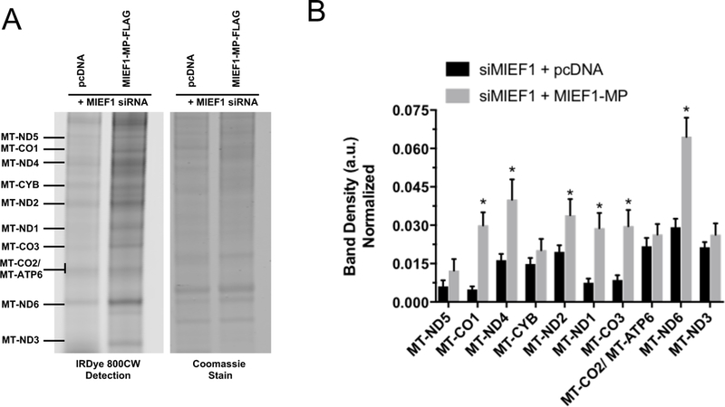 Figure 6.