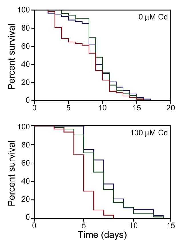 Fig. 8.