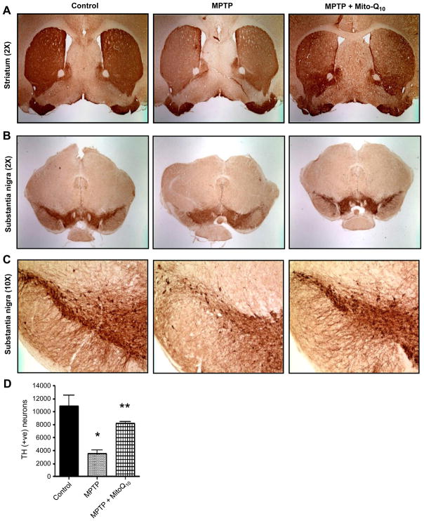 Fig. 6